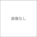【2010年8月27日開催】第3回東京プラス|池袋ランチ交流会